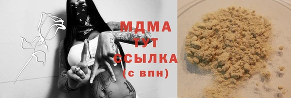 индика Алзамай