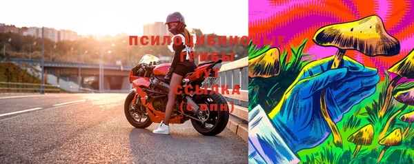 мяу мяу мука Алексеевка