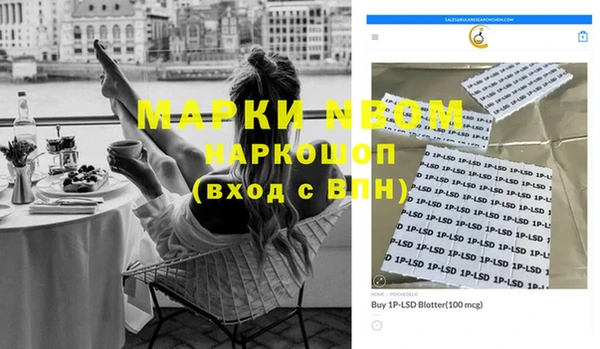 индика Алзамай
