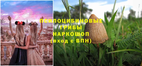 индика Алзамай